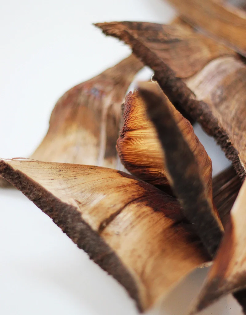 Dried Wooden Bark - Natural, x5 - Image 2