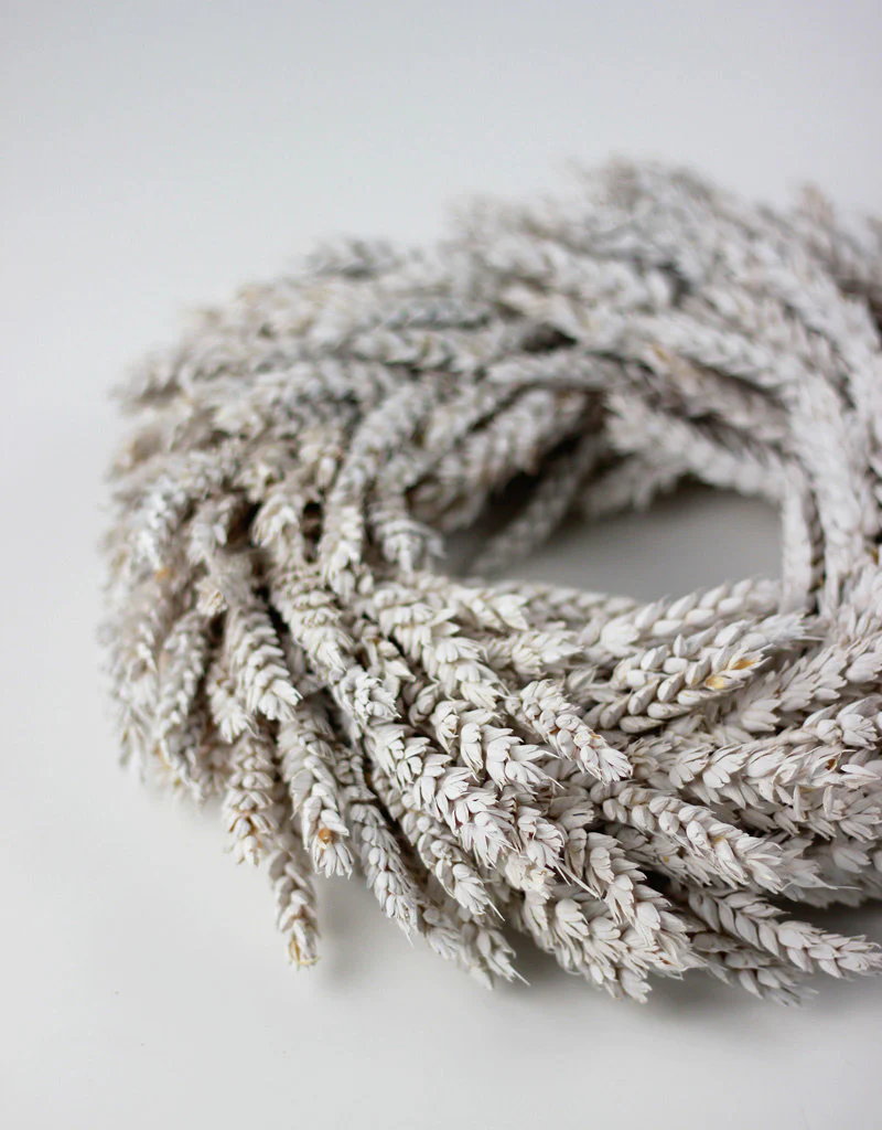 Dried Triticum Wreath - Frosted White, 30 cm - Image 2