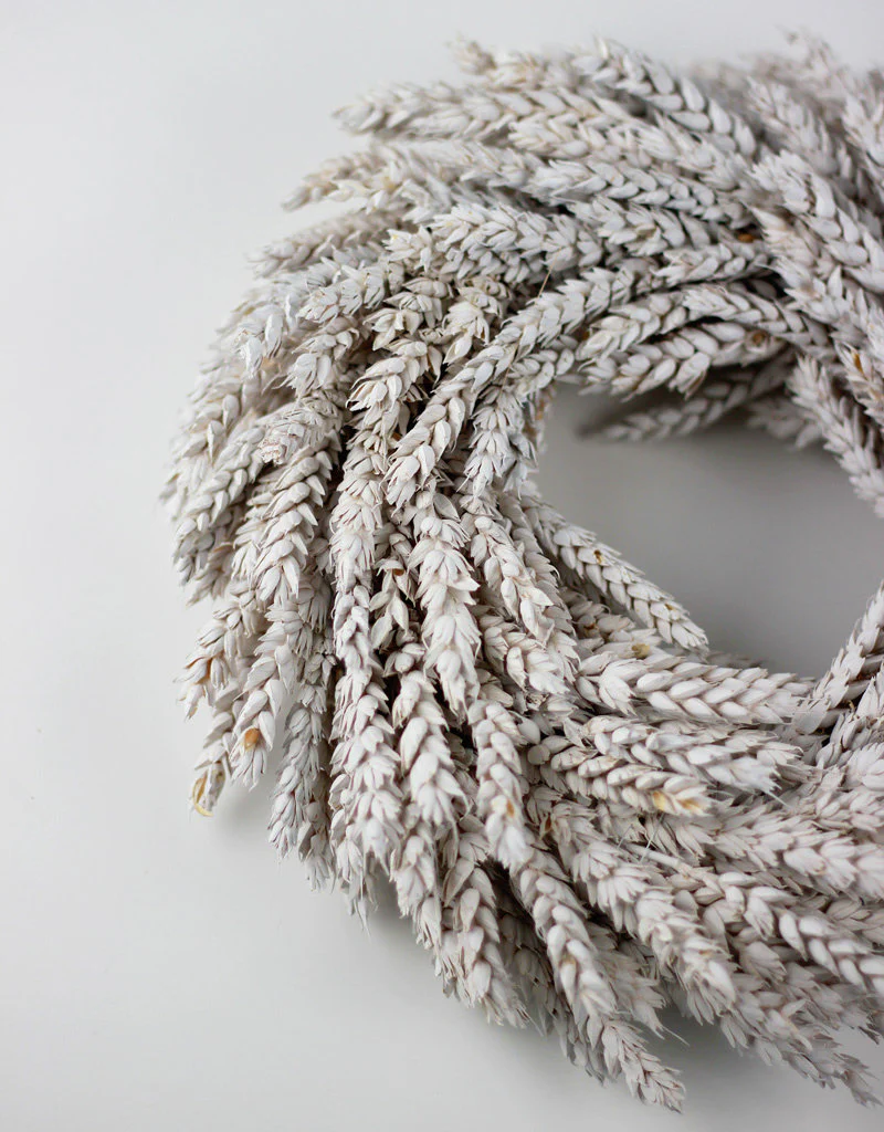 Dried Triticum Wreath - Frosted White, 30 cm - Image 3