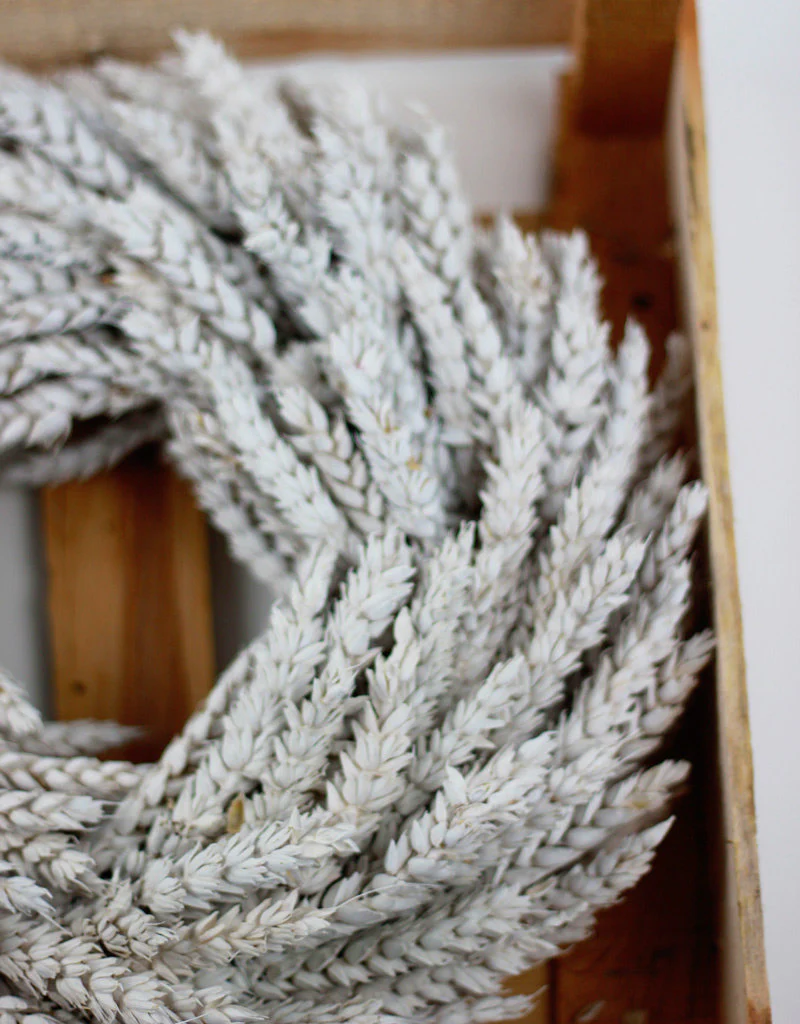 Dried Triticum Wreath - Frosted White, 30 cm - Image 4