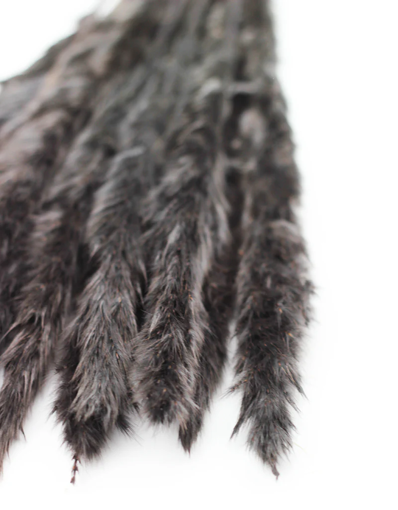 Fluffy Dried Pampas Grass - Charcoal Grey, 10 Stems, 75 cm (Cortaderia) - Image 4