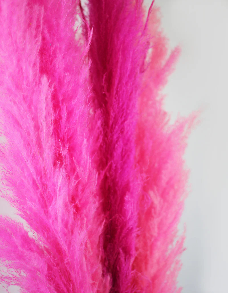 Fluffy Vibrant Dried Pampas Grass - 5 Stems, 110 cm length, Cerise Pink Mix (Cortaderia) - Image 3