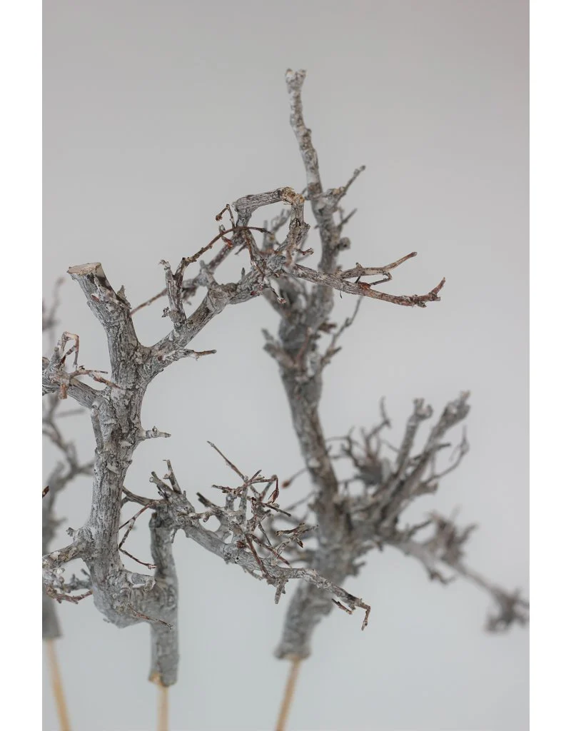 Frosted White Twigs on Wooden sticks - 70 cm - Image 2