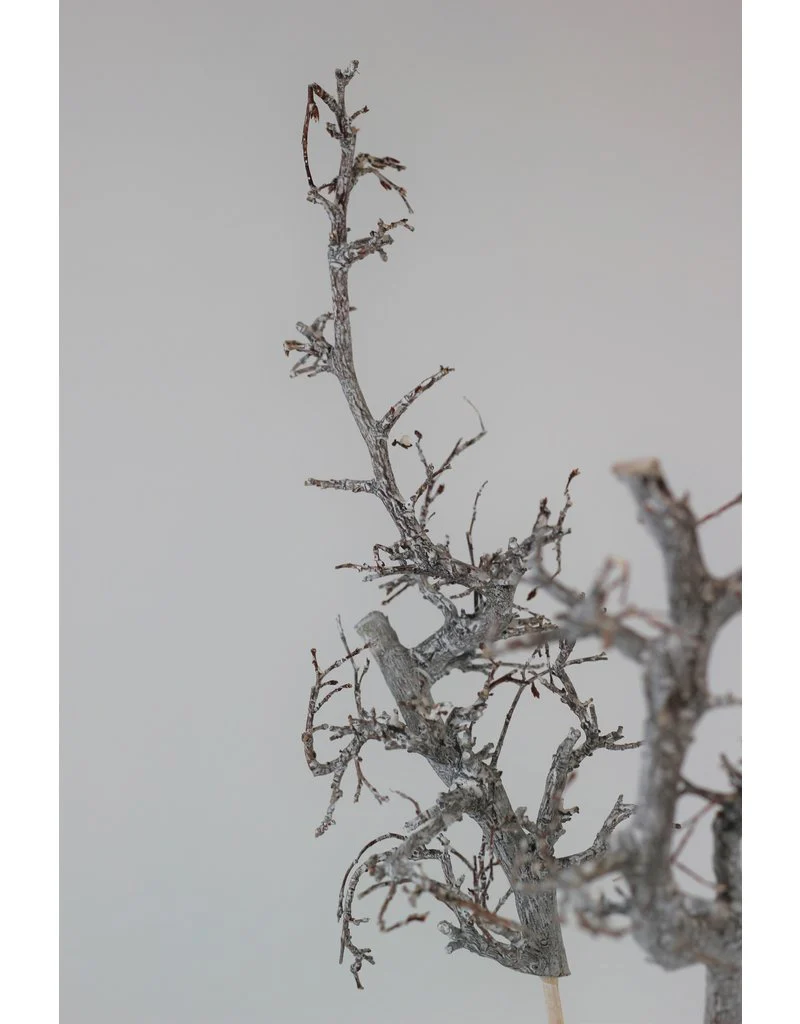 Frosted White Twigs on Wooden sticks - 70 cm - Image 3