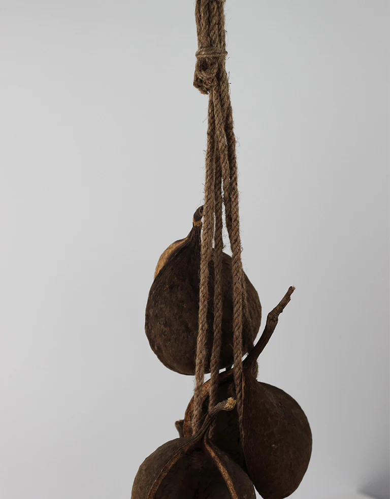 Hanging Cluster Buddha Nut - Natural, 70  cm height - Image 3