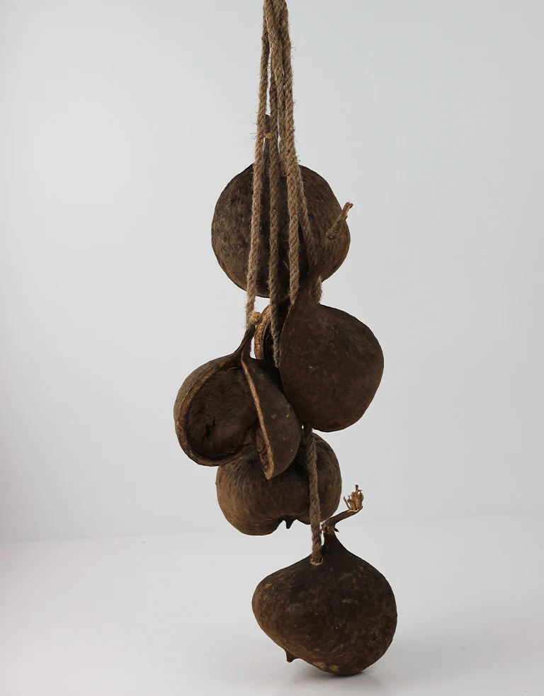 Hanging Cluster Buddha Nut - Natural, 70  cm height - Image 4