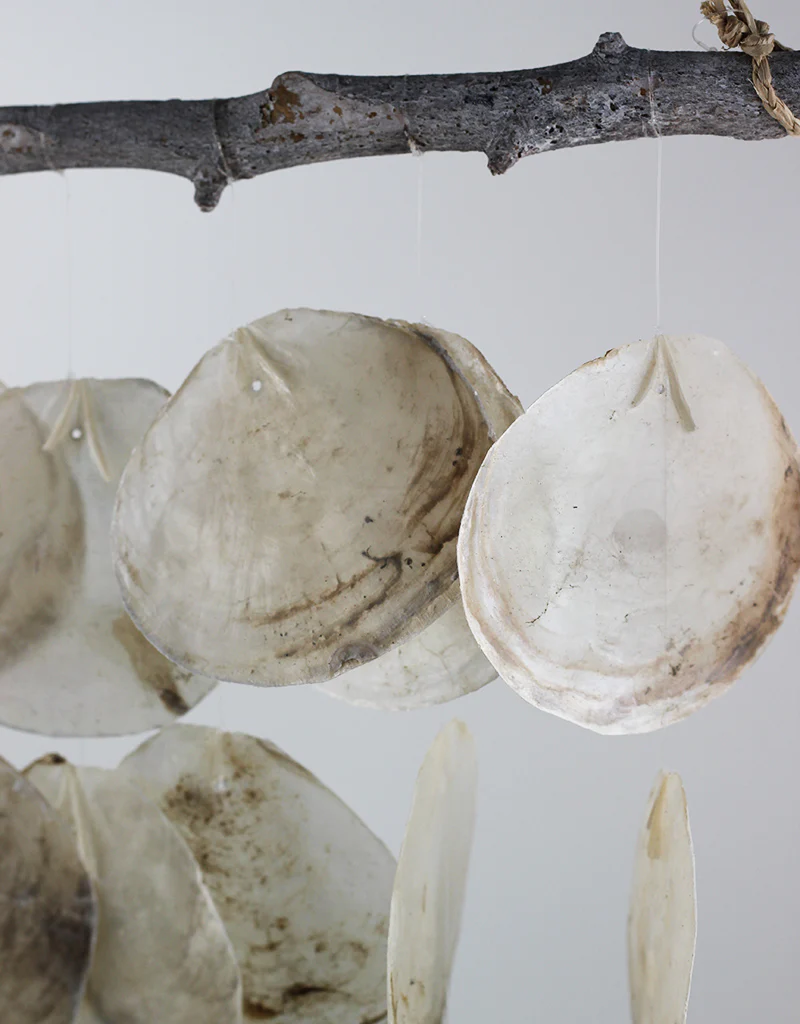 Hanging Flat Shell Décor, Natural, 70 cm Height, 45 cm width - Image 3