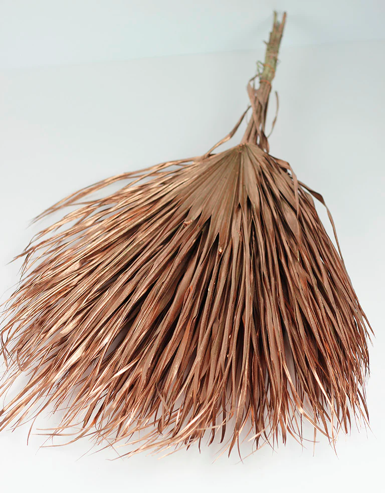 Large Dried Chamaerops Palm - Copper, 8 Stems, 75 cm - Image 4