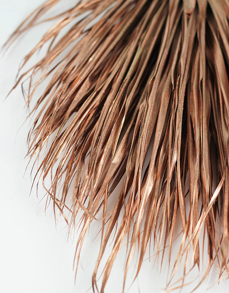 Large Dried Chamaerops Palm - Copper, 8 Stems, 75 cm - Image 5