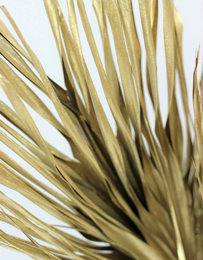 Large Dried Chamaerops Palm - Gold, 8 Stems, 70 cm - Image 3