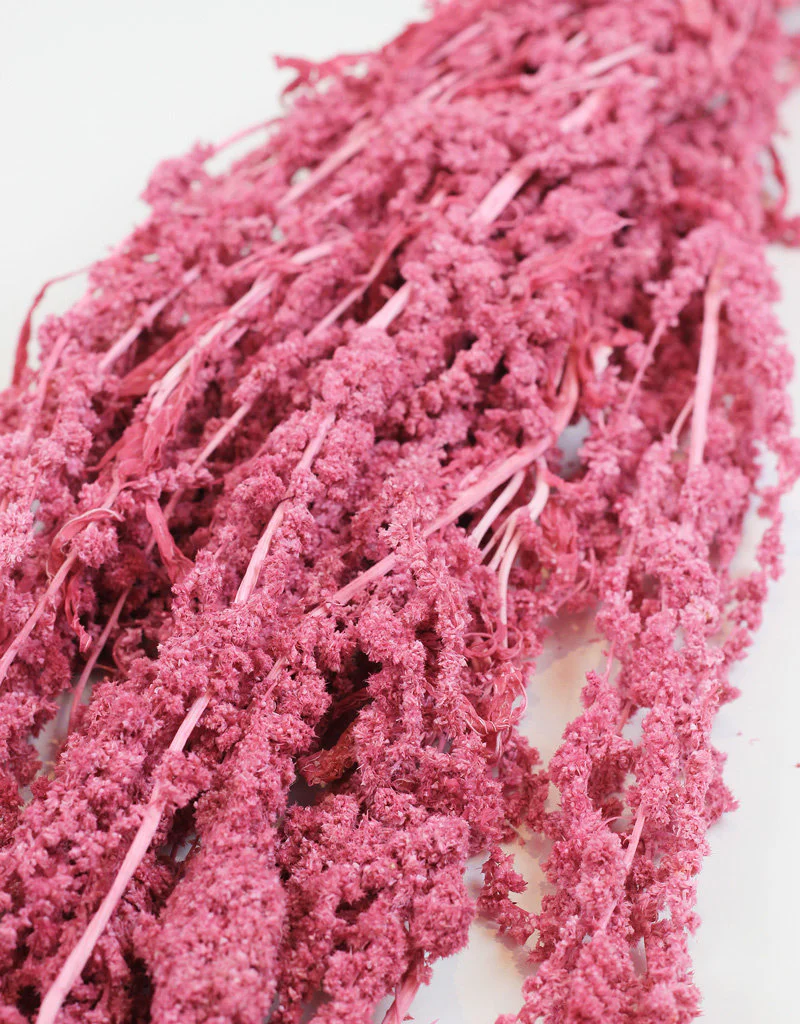 Preserved Amaranthus Caudatus - Pink Bunch, 70 cm - Image 2
