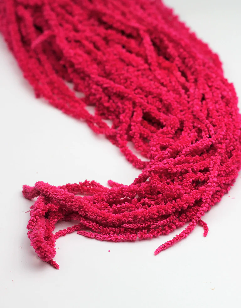 Preserved Amaranthus - Cerise Pink Bunch, 70 cm - Image 3