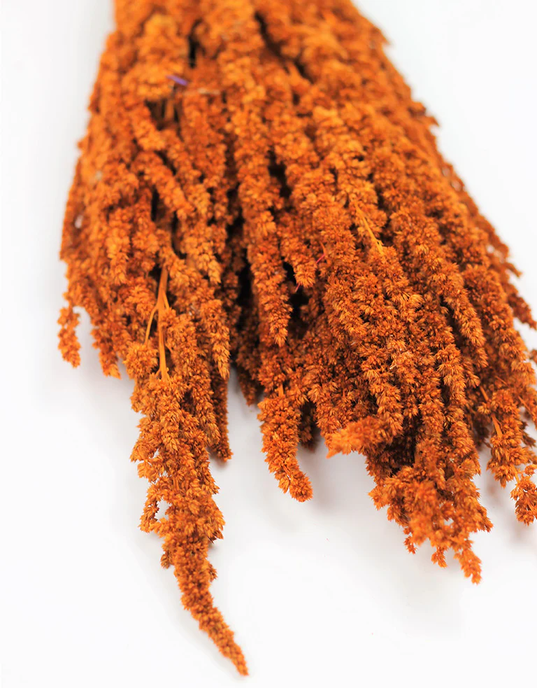Preserved Amaranthus - Orange Bunch, 65 cm - Image 3