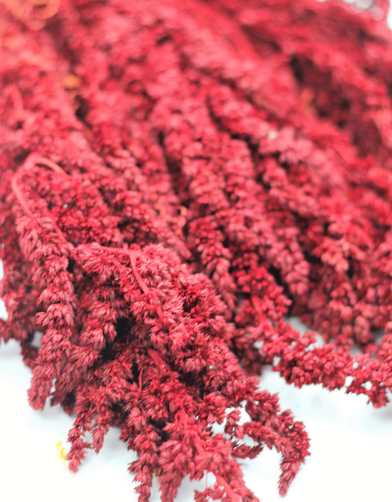 Preserved Amaranthus - Red Bunch, 60 cm - Image 3