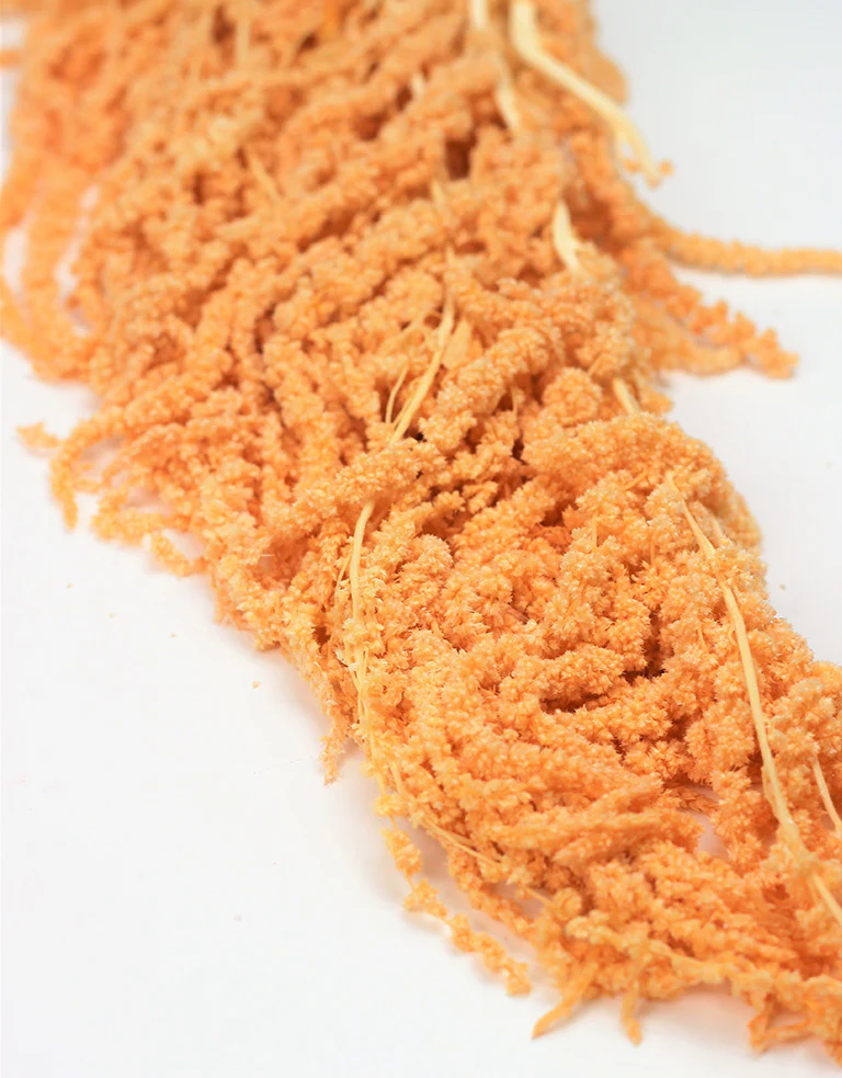 Preserved Amaranthus - Salmon Bunch,150 grams, 70 cm - Image 3