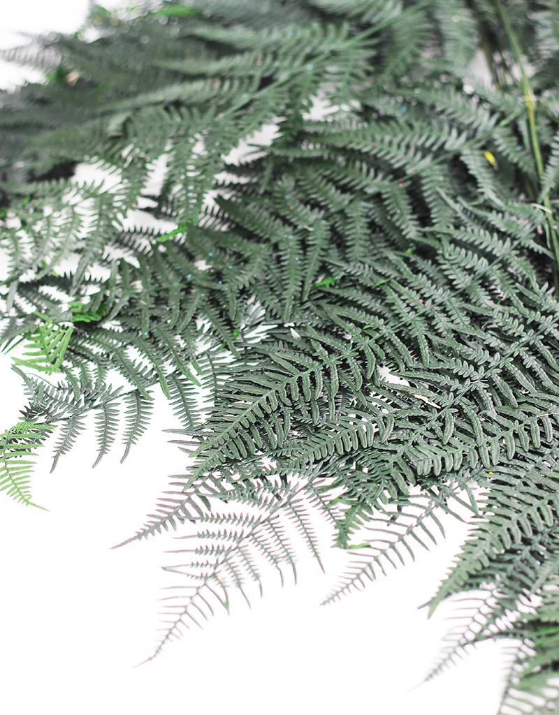 Preserved Bracken Fern - XL, Forest Green Bunch, 10 stems, 70 cm - Image 3