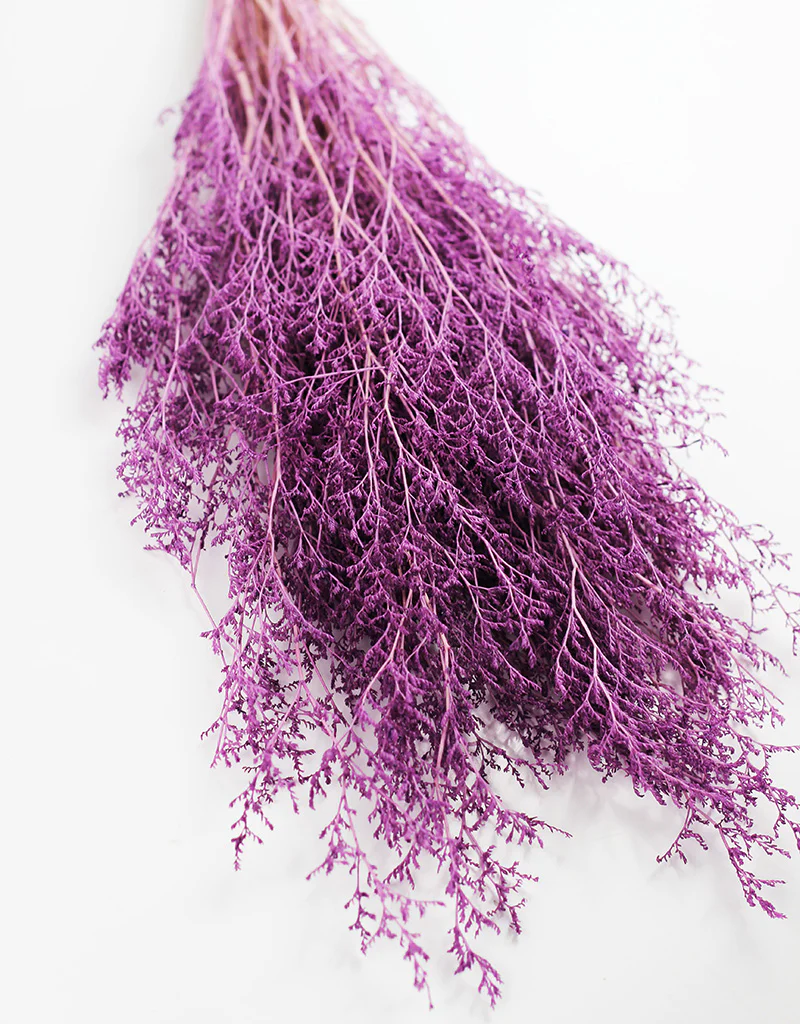 Preserved Caspia  - Lilac Bunch, 100 grams, 70 cm - Image 4