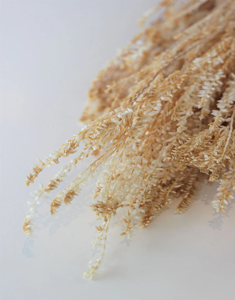 Preserved Erica - Semi Bleached Bunch, 70 cm - Image 2