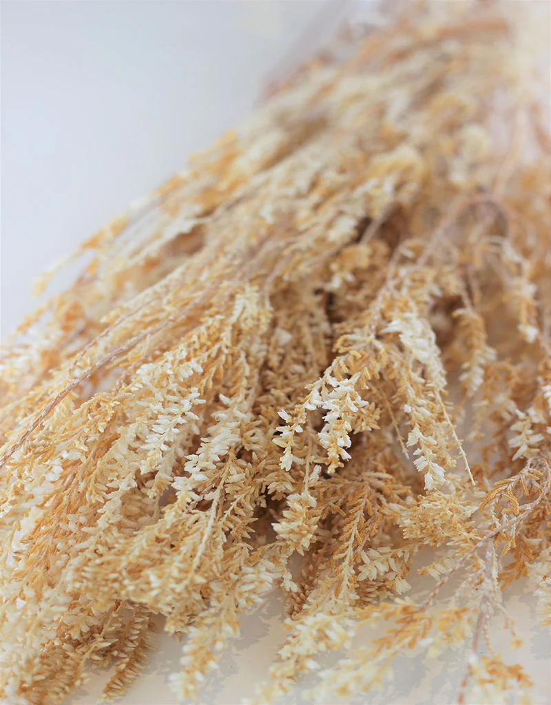 Preserved Erica - Semi Bleached Bunch, 70 cm - Image 3
