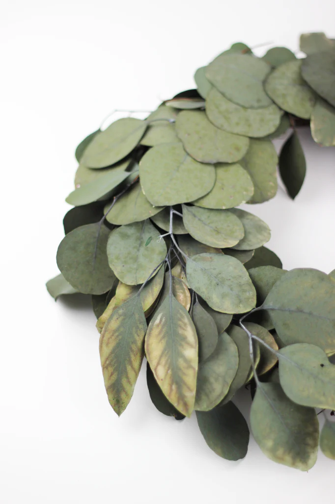 Preserved Eucalyptus Populus Wreath - Green, 30 cm - Image 4