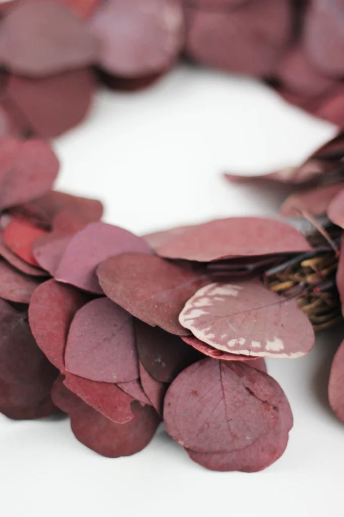 Preserved Eucalyptus Populus Wreath - Red, 30 cm - Image 3