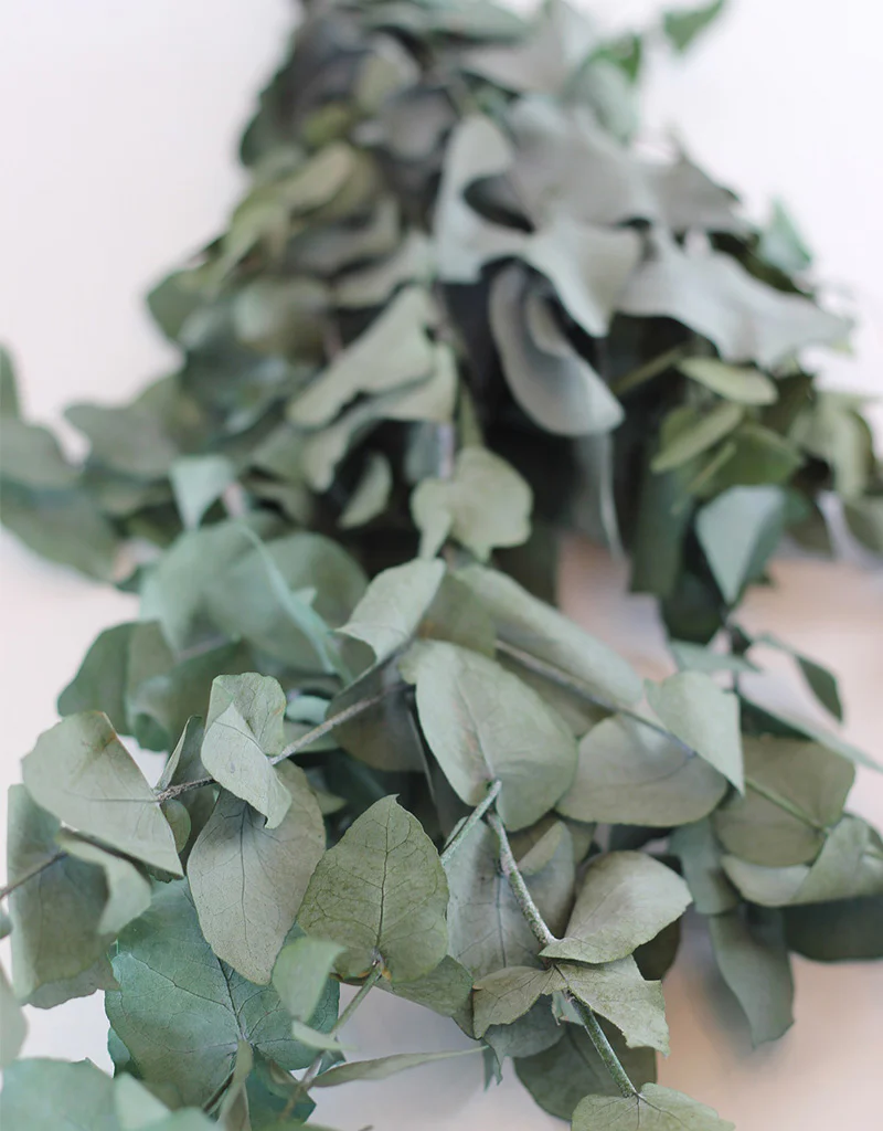 Preserved Eucalyptus - Stuartiana Green Bunch, 60 cm - Image 3