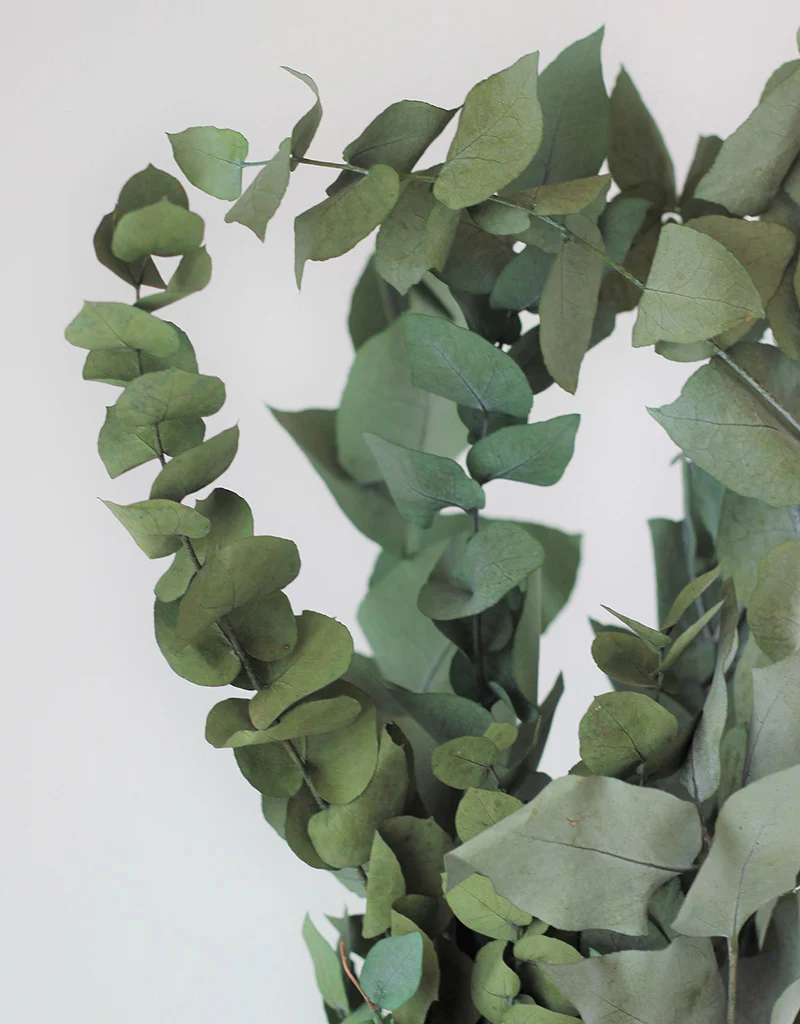 Preserved Eucalyptus - Stuartiana Green Bunch, 60 cm - Image 4