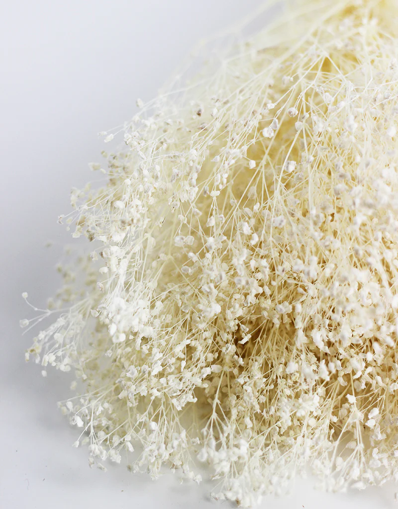 Preserved Gypsophila Flowers - Bleached Variety bouquet, 200 grams, 60 cm - Image 3
