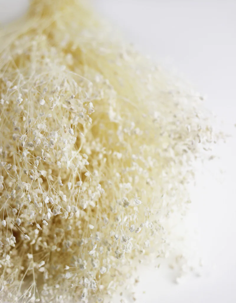 Preserved Gypsophila Flowers - Bleached Variety bouquet, 200 grams, 60 cm - Image 4