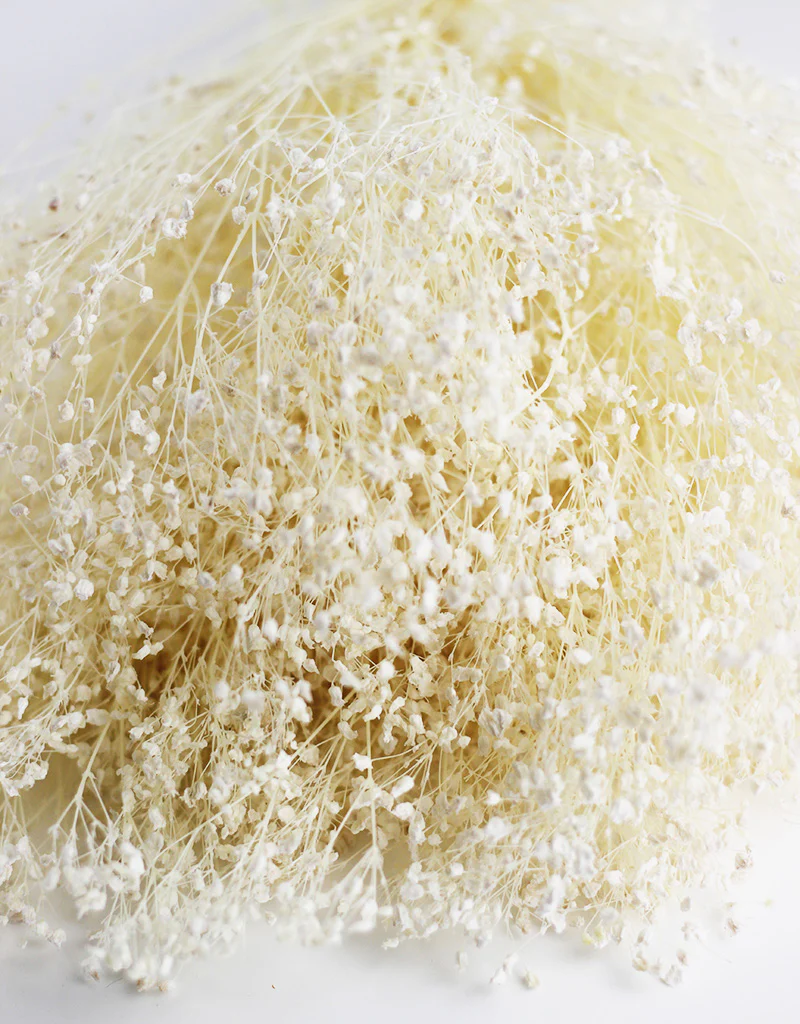 Preserved Gypsophila Flowers - Bleached Variety bouquet, 200 grams, 60 cm - Image 5