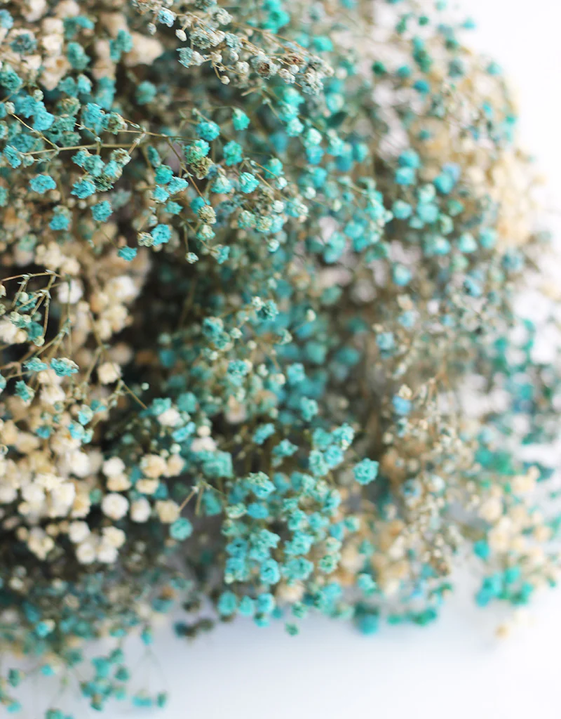 Preserved Gypsophila Flowers - Blue & White Variety bouquet, 200 grams, 55 cm - Image 3