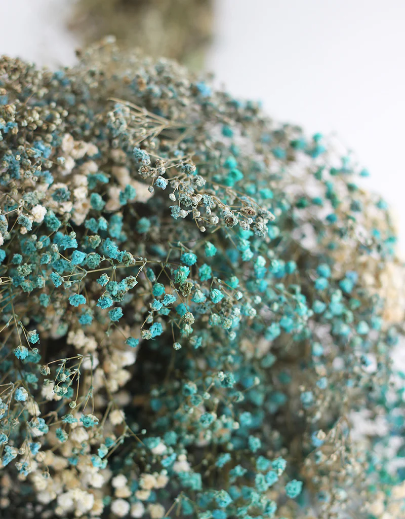 Preserved Gypsophila Flowers - Blue & White Variety bouquet, 200 grams, 55 cm - Image 4