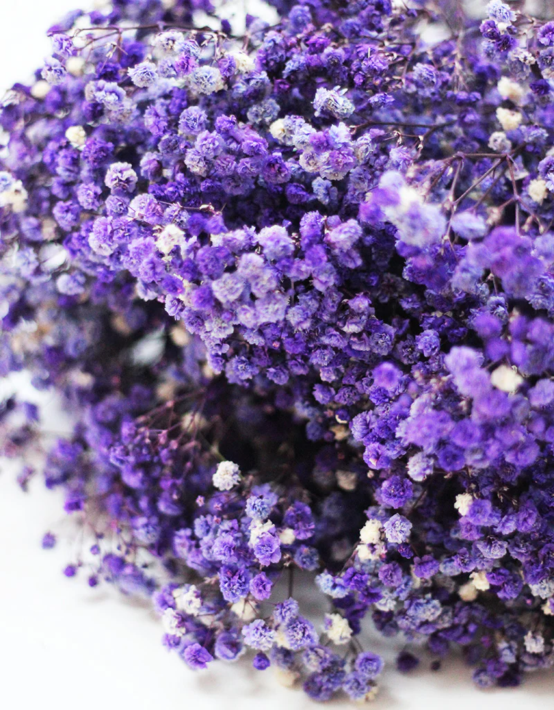 Preserved Gypsophila - Purple/White Flowers Bunch, 70cm - Image 3