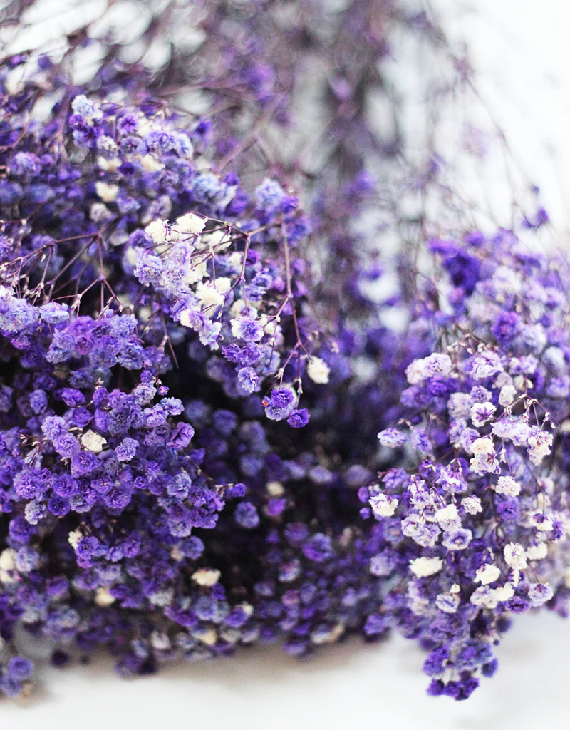 Preserved Gypsophila - Purple/White Flowers Bunch, 70cm - Image 4