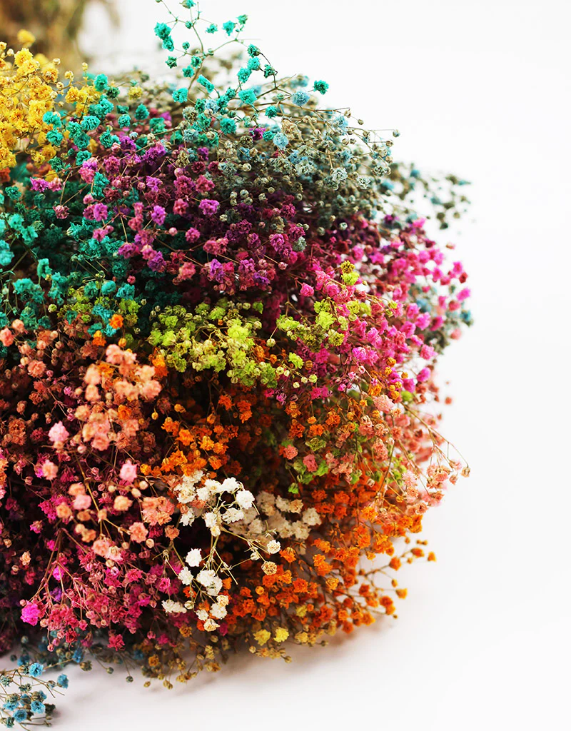 Preserved Gypsophila Flowers - Rainbow bouquet, 200 grams, 55 cm - Image 3