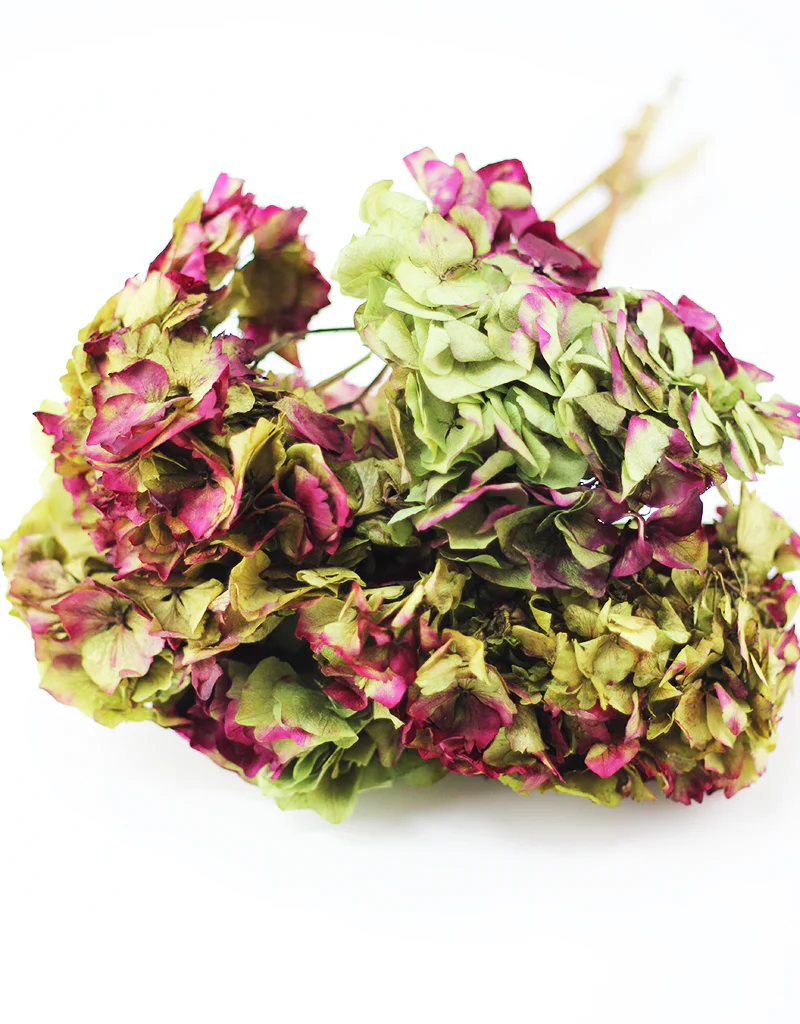 Halloween Dried & Preserved Flowers Collections