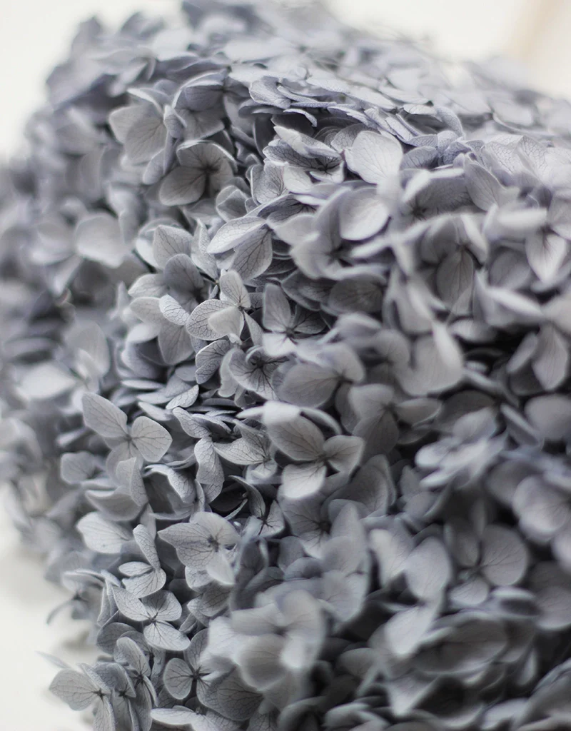 Preserved Hydrangea - Pale Blue, 1 stem, 60cm - Image 2