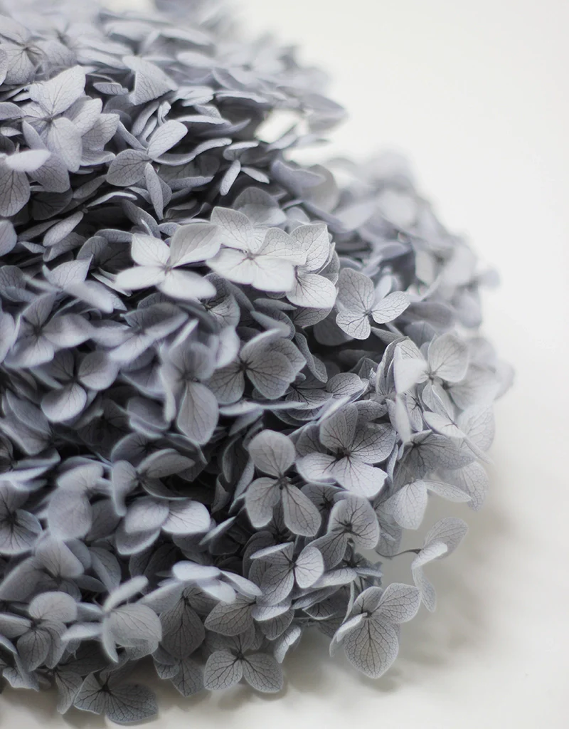 Preserved Hydrangea - Pale Blue, 1 stem, 60cm - Image 3
