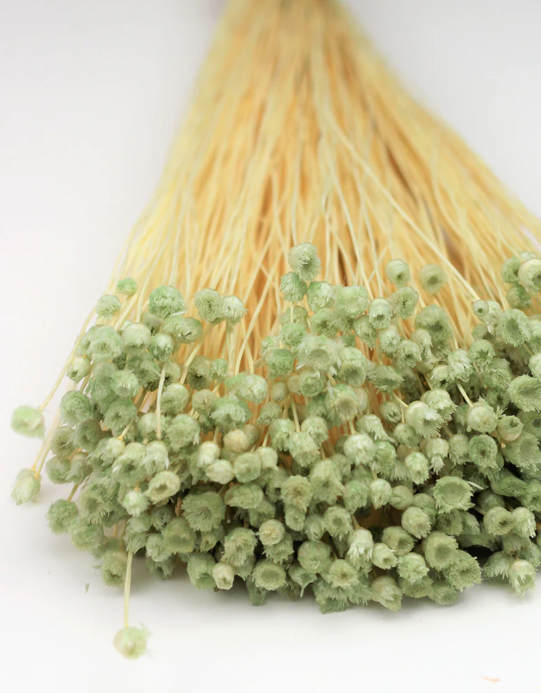 Preserved Jazilda - Mint Green Bunch, 50 cm - Image 2