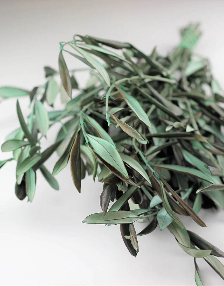 Preserved Olive Stems - Natural Bunch, 55 cm - Image 2