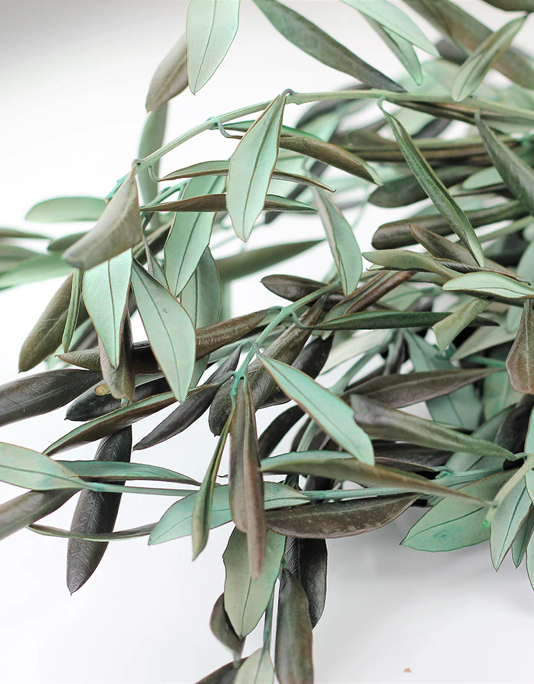 Preserved Olive Stems - Natural Bunch, 55 cm - Image 3