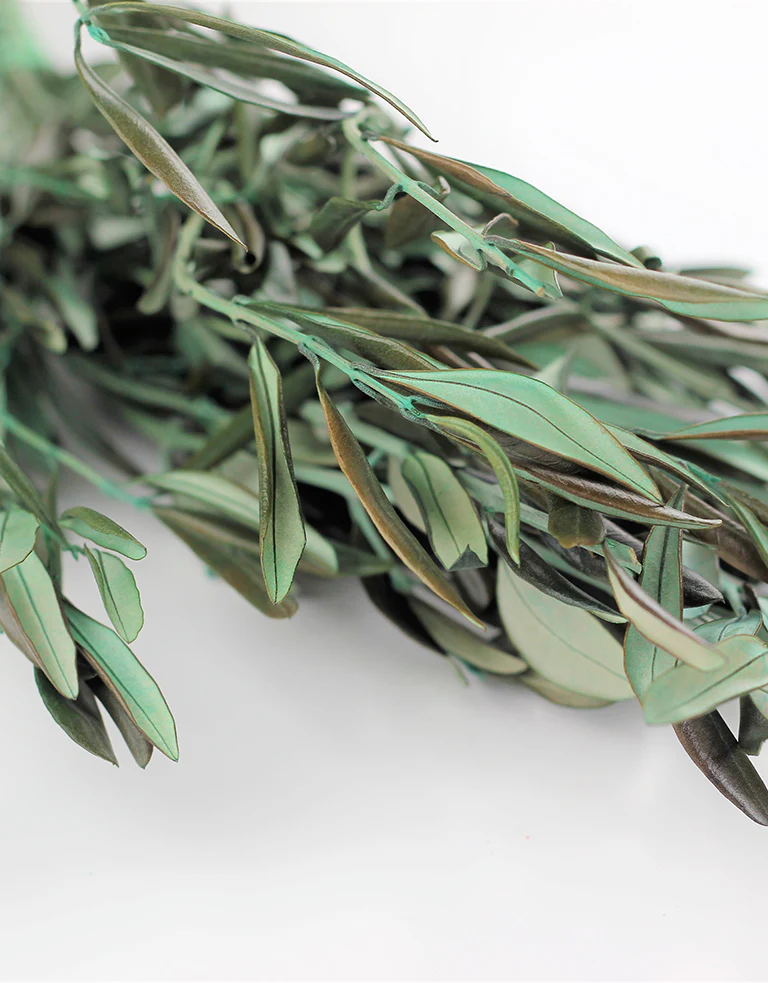 Preserved Olive Stems - Natural Bunch, 55 cm - Image 4