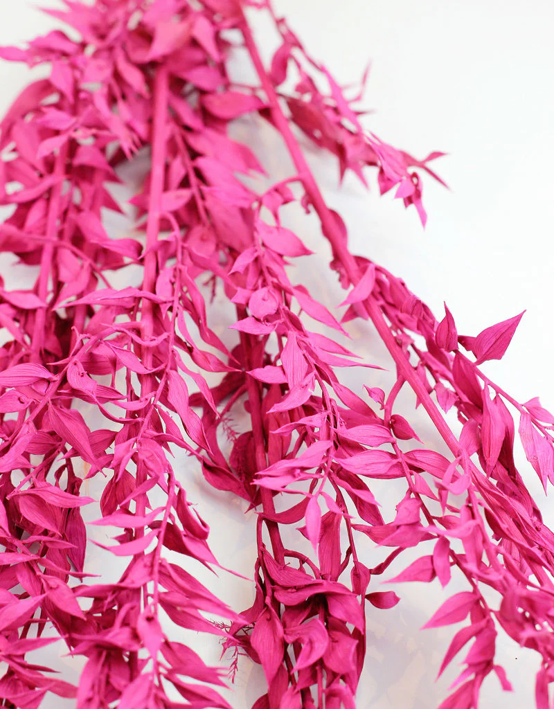 Preserved Ruscus - Cerise Pink Bunch, 5 Stems, 65 cm - Image 3