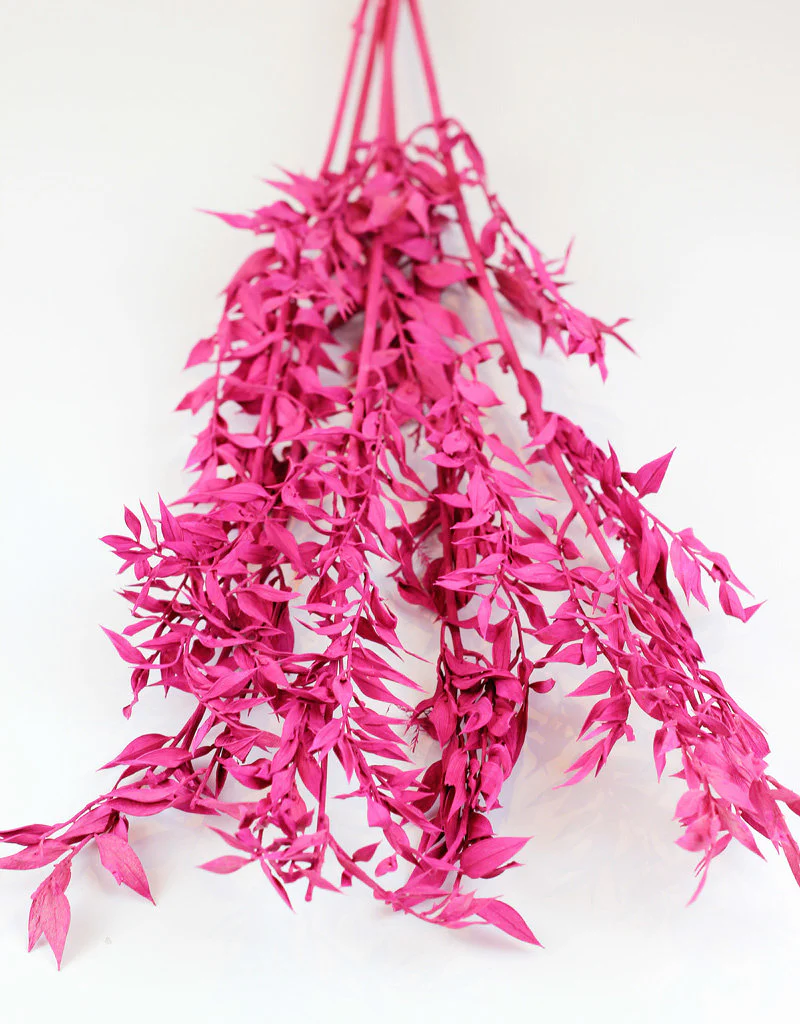 Preserved Ruscus - Cerise Pink Bunch, 5 Stems, 65 cm - Image 5