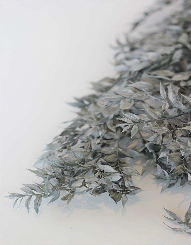 Preserved Ruscus - Grey Bunch, 5 Stems, 65 cm - Image 3
