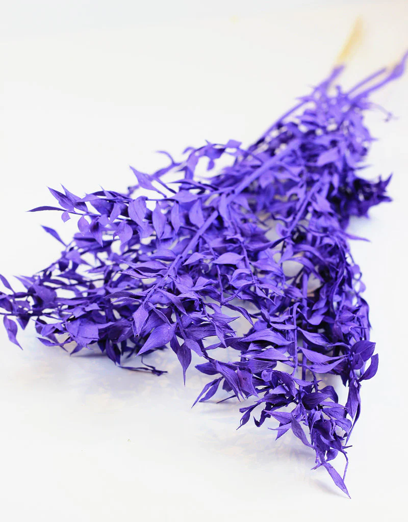 Preserved Ruscus - Purple Bunch, 5 Stems, 65 cm - Image 3