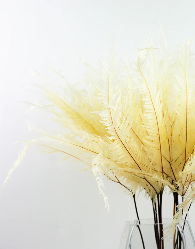 Preserved Umbrella Fern - Bleached Bunch, 60 cm - Image 2
